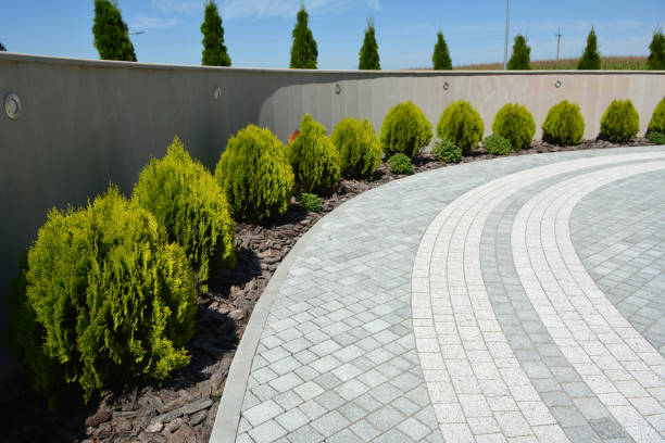 Reasons to Select Us for Your Driveway Paving Requirements in Yorba Linda, CA